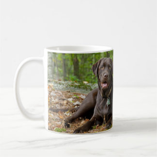 Hundar Puppies Svart lab Chocolate Labrador Retrie Kaffemugg