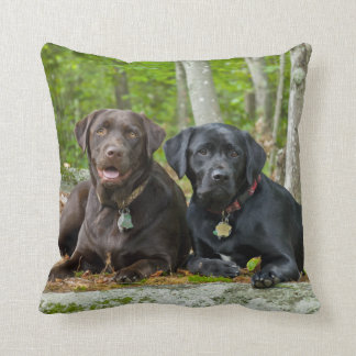 Hundar Puppies Svart lab Chocolate Labrador Retrie Kudde