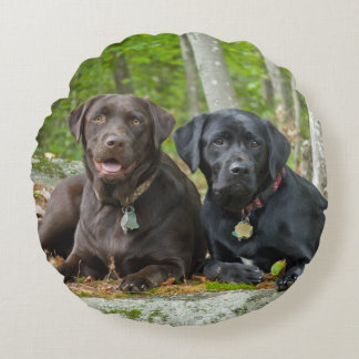 Hundar Puppies Svart lab Chocolate Labrador Retrie Rund Kudde