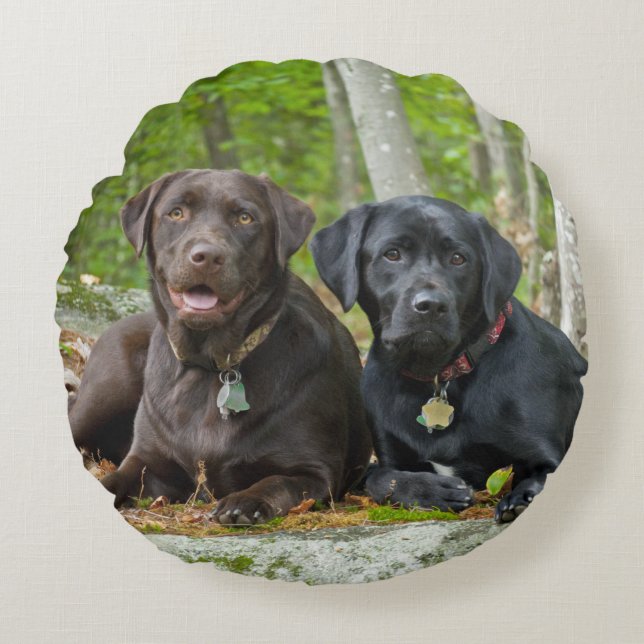 Hundar Puppies Svart lab Chocolate Labrador Retrie Rund Kudde (Framsidan)