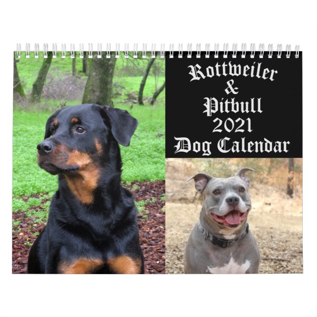 Hundar Rottweiler och Pitbull Hund Calendar Kalender (Omslag)
