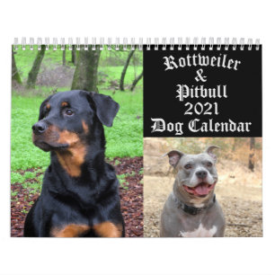 Hundar Rottweiler och Pitbull Hund Calendar Kalender