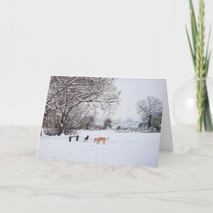 hundar snötäckta träd vinterlandskap naturskön helgkort
