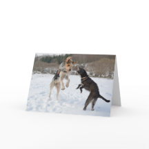 Hundar som har roligt i snöjulen