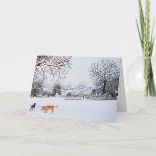 hundar som leker i snöig, landskap scenisk jul kort