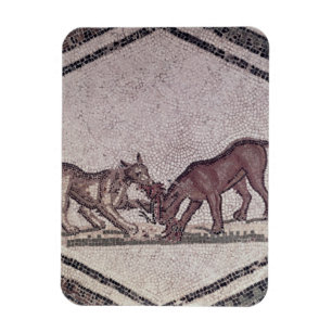 Hundar som slåss för en fågel, romare, 2nd-3rd magnet
