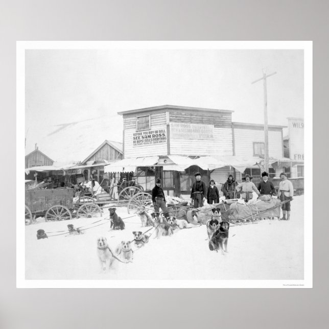 Hundar som transporterar mat Alaska 1924 Poster (Framsidan)