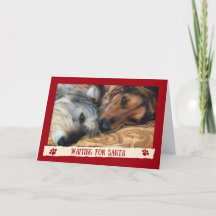 Hundar som väntar på Tomte - Roligt kort från hund