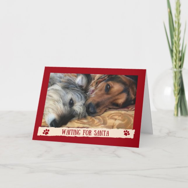Hundar som väntar på Tomte - Roligt kort från hund (Framsida)
