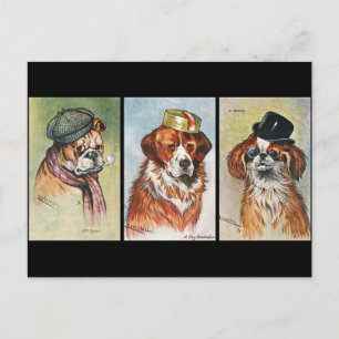 Hundar, tecknad triptych vykort
