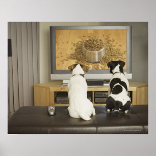 Hundar tittar på hund med mat på tv poster