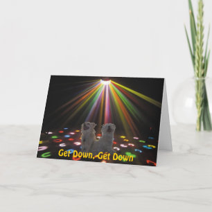 hundar vid disco kort