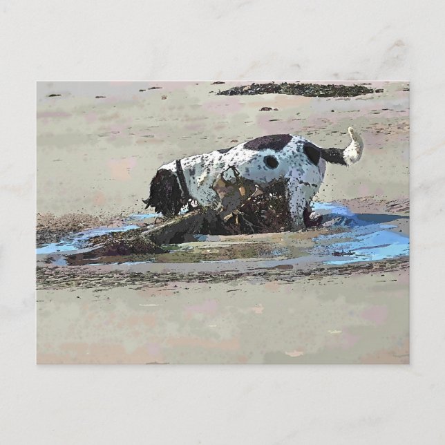 HUNDAR VYKORT (Framsida)