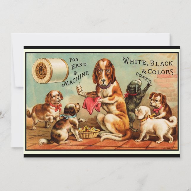 Hundar-vykort Kort (Framsida)