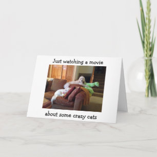 HUNDAR WATCHING MOVIE OM CRAZY CATS-BIRTHDAY CARD KORT