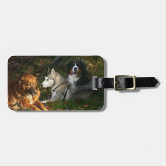 Hundbagagemärkre Bagagebricka (Horisontell Framsida)