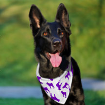 hundbandana