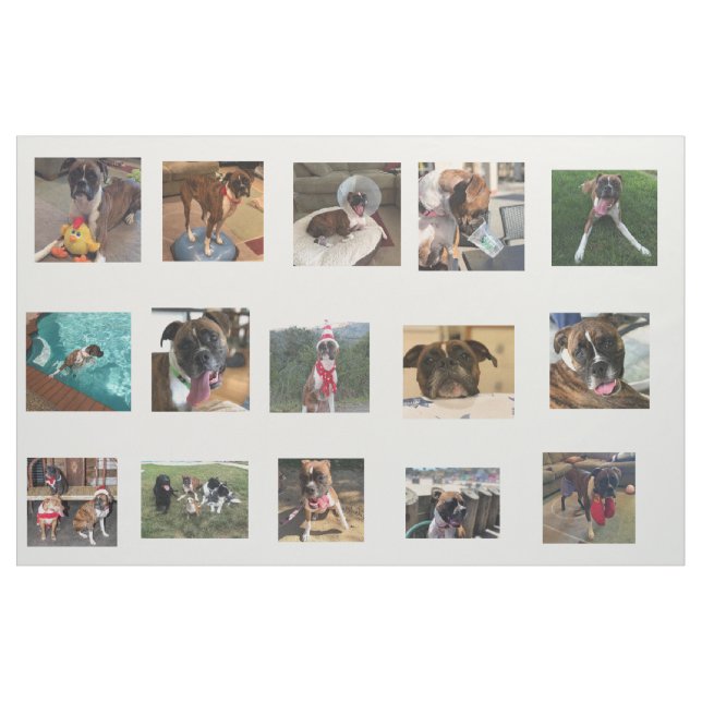 hundbilder tyg (Fat Quarter)