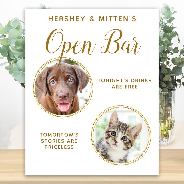 Hundbröllop Öppen bar för hundar Foto Elegant Guld Poster (Skapare uppladdad)