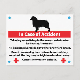 Hundbur Kort I Nödsituation: Aussie
