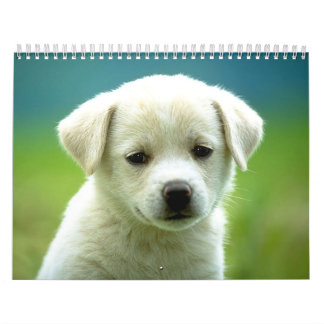 Hundcalander Kalender
