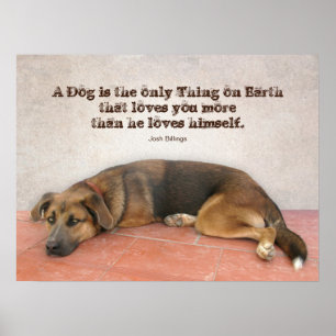 Hundcitationstecken Poster