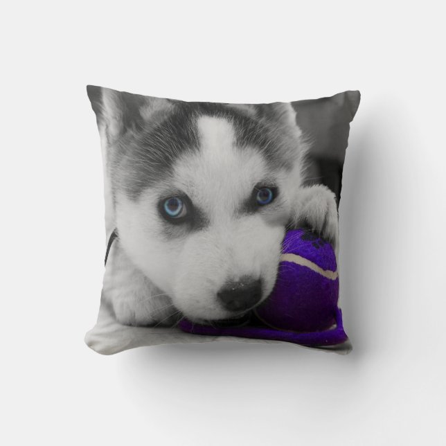 Hunddekorativ kudde (Framsida)