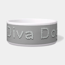 Hunddiva hund vatten skål eller matskål