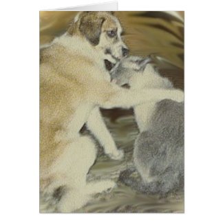 hunden älskar katten hälsningskort