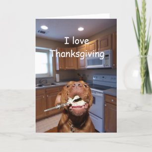 Hunden älskar thanksgiving helgkort