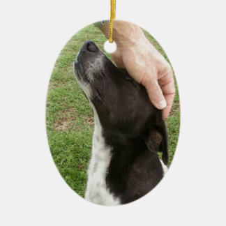 Hunden är en man bästa vän! julgransprydnad keramik