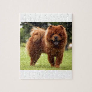 Hunden för ChowChow poserar Pussel
