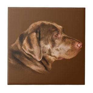 Hunden för den Labrador retrieveren, belägger me Kakelplatta