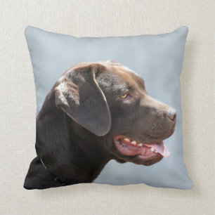 Hunden för den Labrador retrieveren kvadrerar Kudde