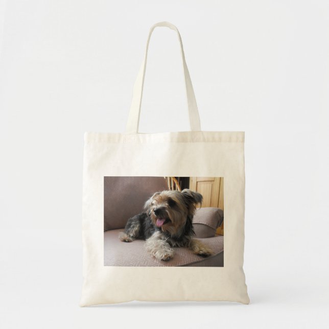 Hunden hänger lös tygkasse (Framsidan)