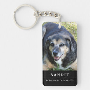 Hunden minnes- KeyChain sörjer inte min övergåe