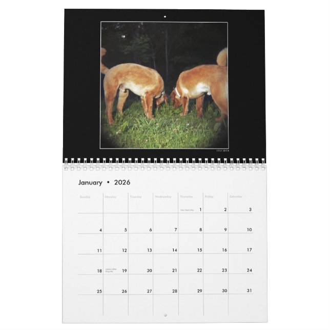 Hunden parkerar färgkalender 2 kalender (Jan 2026)