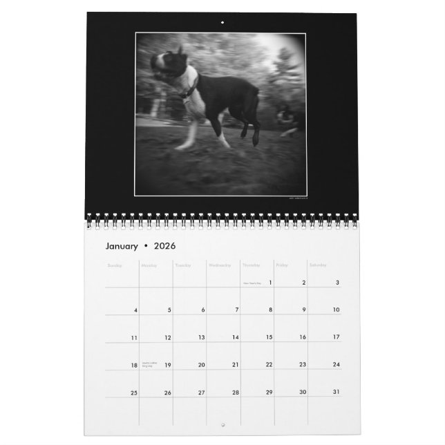 Hunden parkerar kalender 3 (Jan 2026)