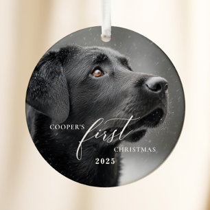 Hundens Första Jul Skrift Ornament