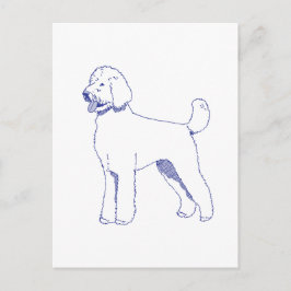 Hunderasse Goldendoodle Vykort