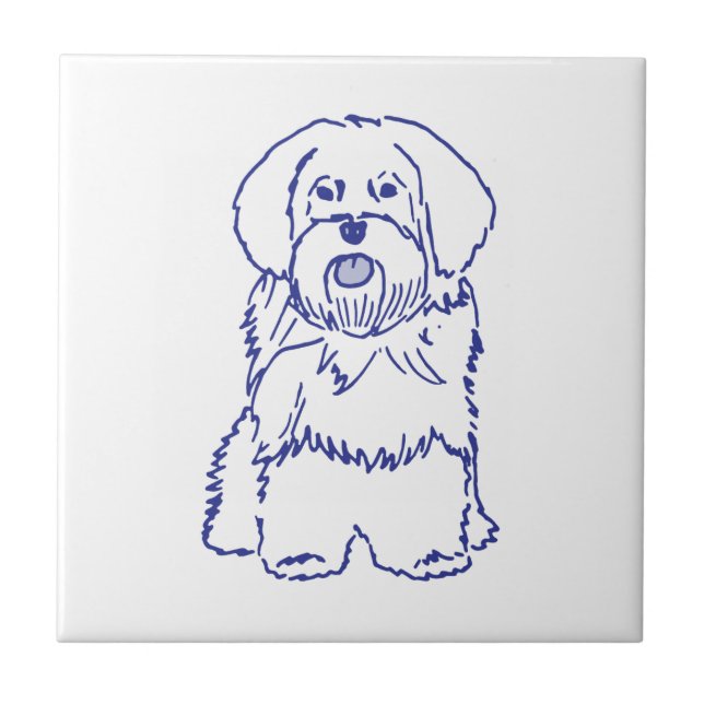 Hunderasse Havanese Kakelplatta (Framsidan)