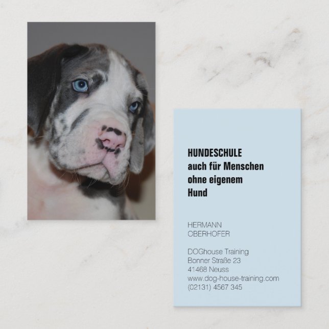 Hundeschule Visitenkarten Visitkort (Fram/baksida)