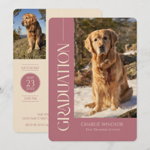 Hundfest Djur Fotos Roséguld Examen Inbjudningar