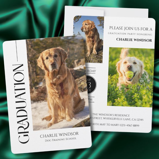 Hundfest Inbjudan Husdjur Bilder Svart Examen (Dog Graduation Invitation cards)