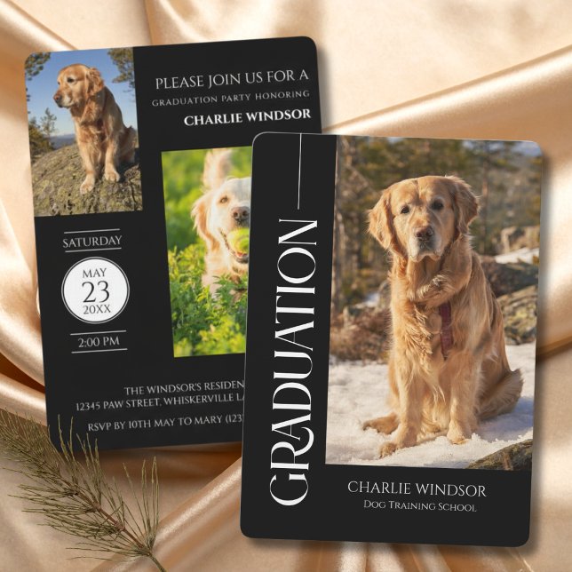 Hundfest Svart & Vitt Examen Inbjudningar (Dog Graduation Invitation cards)