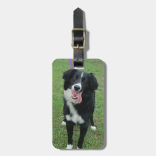 Hundfoto Bagagebricka