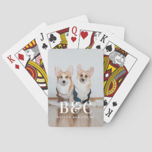 Hundfoto Husdjur Minnessak Casinokort