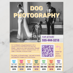 Hundfotograf Flyer färgrik gul 