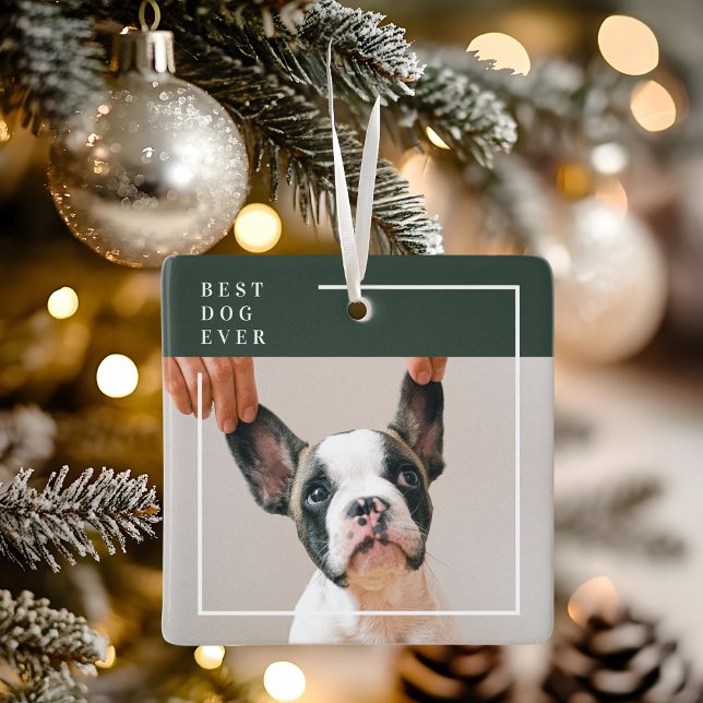 Hundfotoornament | Bästa hunden någonsin Modern Julgransprydnad Keramik (Skapare uppladdad)