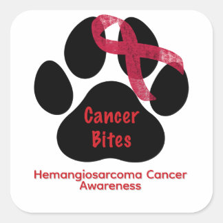 Hundfots Canine Hemangiosarcoma-medvetandebadge Fyrkantigt Klistermärke